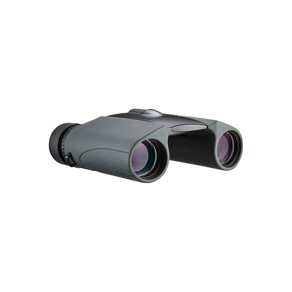 Szare lornetka z czarnymi detalami, na białym tle.