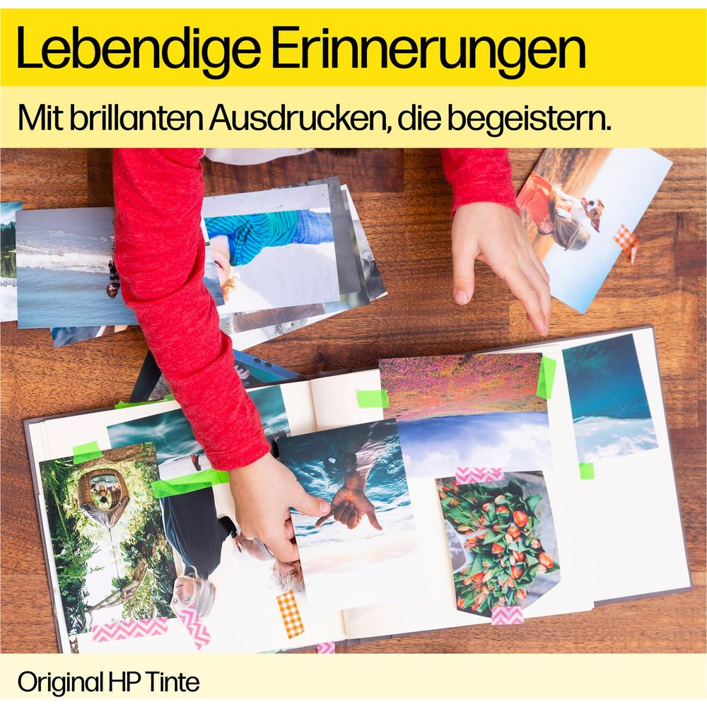 Dziecko wkłada zdjęcia do albumu. Kwiaty, morze i krajobrazy.