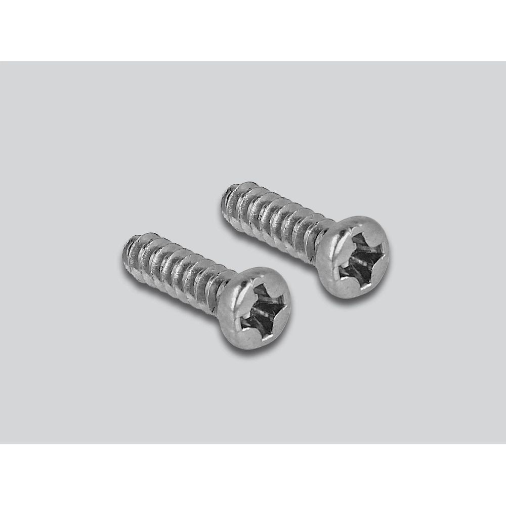 Two silver screws with star drive, side by side on a gray background.