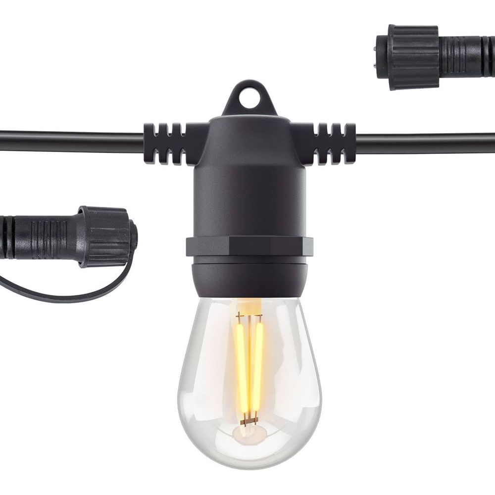 Primo piano di una catena luminosa nera con lampadina trasparente e due LED a filamento.