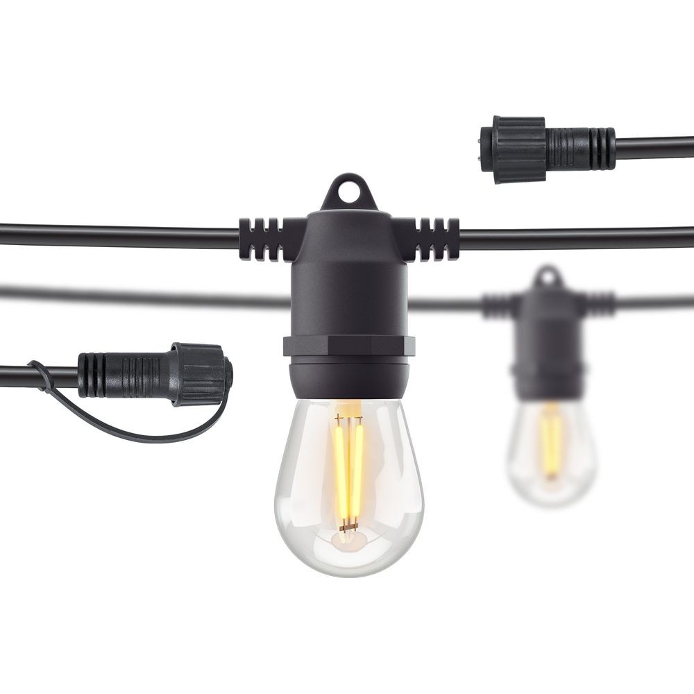 Una catena di luci con lampadine trasparenti e portalampada neri.