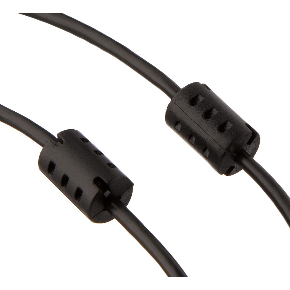 Deux câbles noirs avec noyaux de ferrite sur fond blanc.