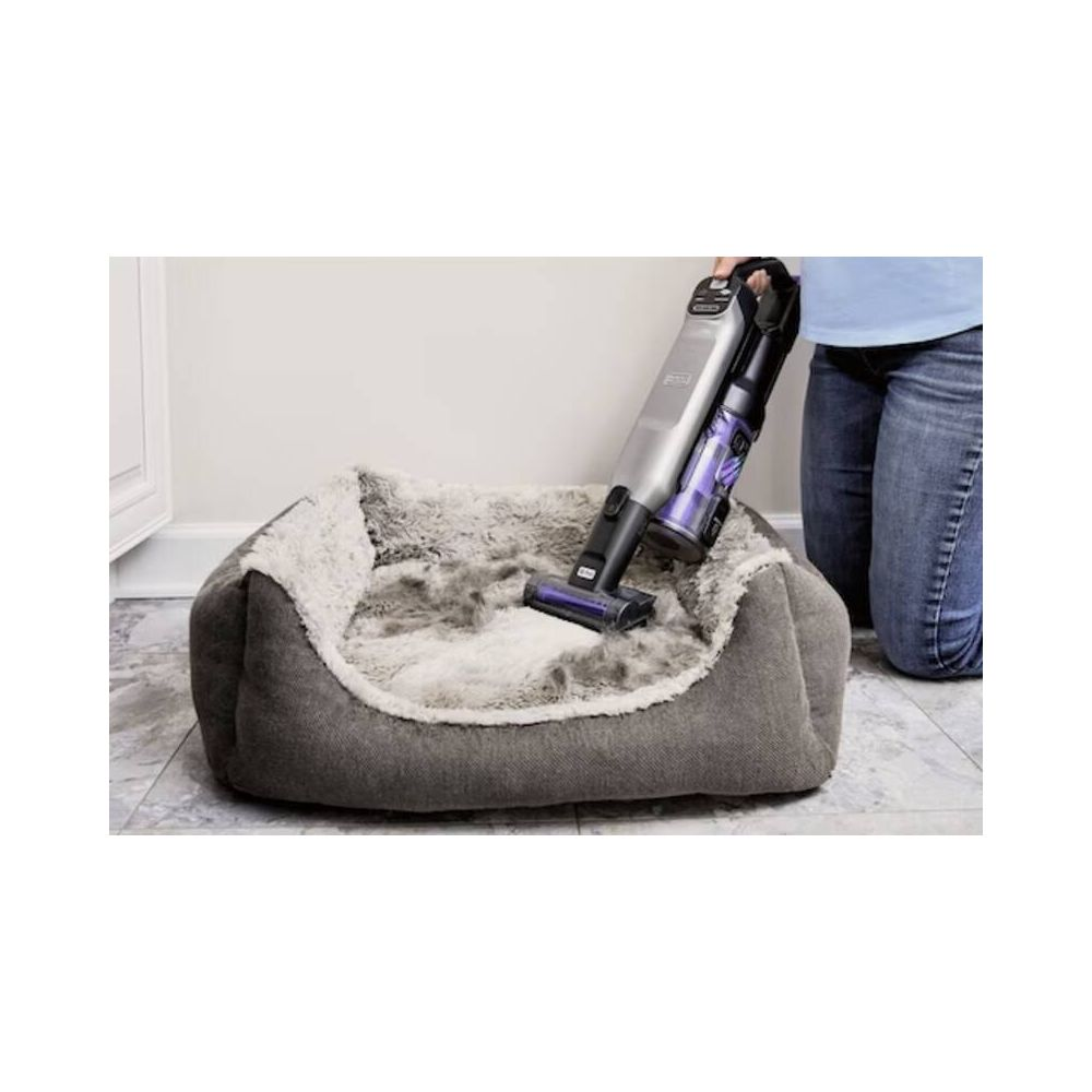 Person saugt Hundebett mit einem Handstaubsauger ab.
