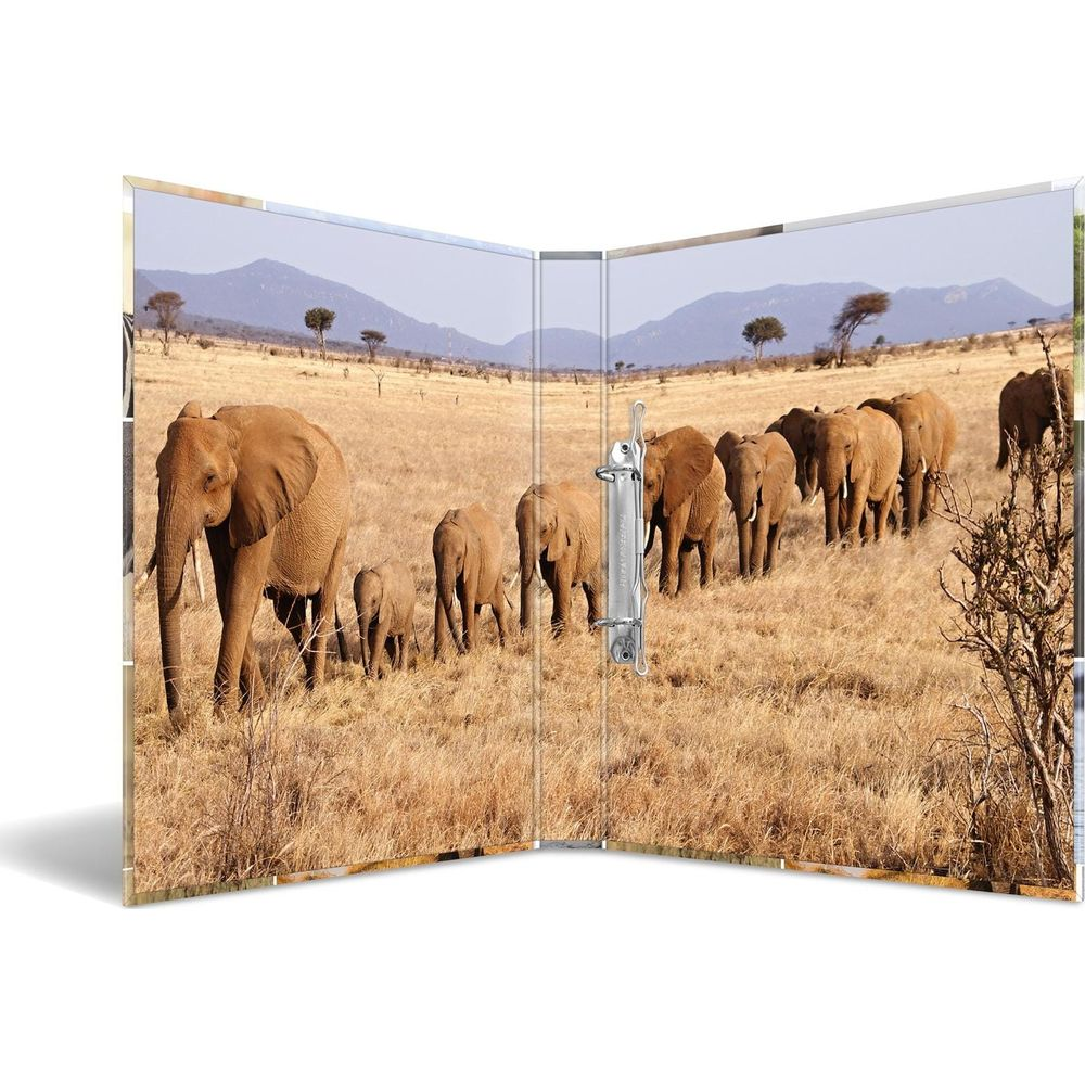 Stado słoni maszeruje przez suchą trawę z górami w tle.