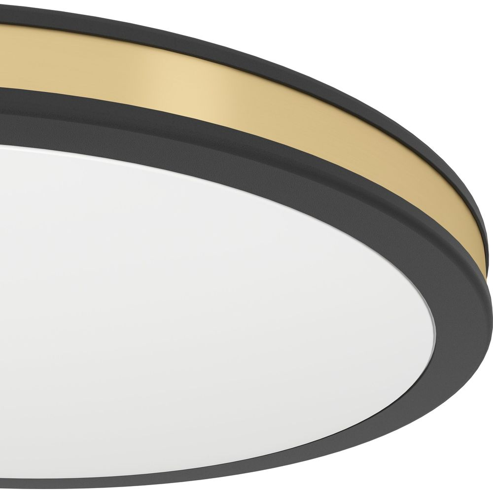 Primo piano di una lampada rotonda con bordo nero, linea dorata e centro bianco.