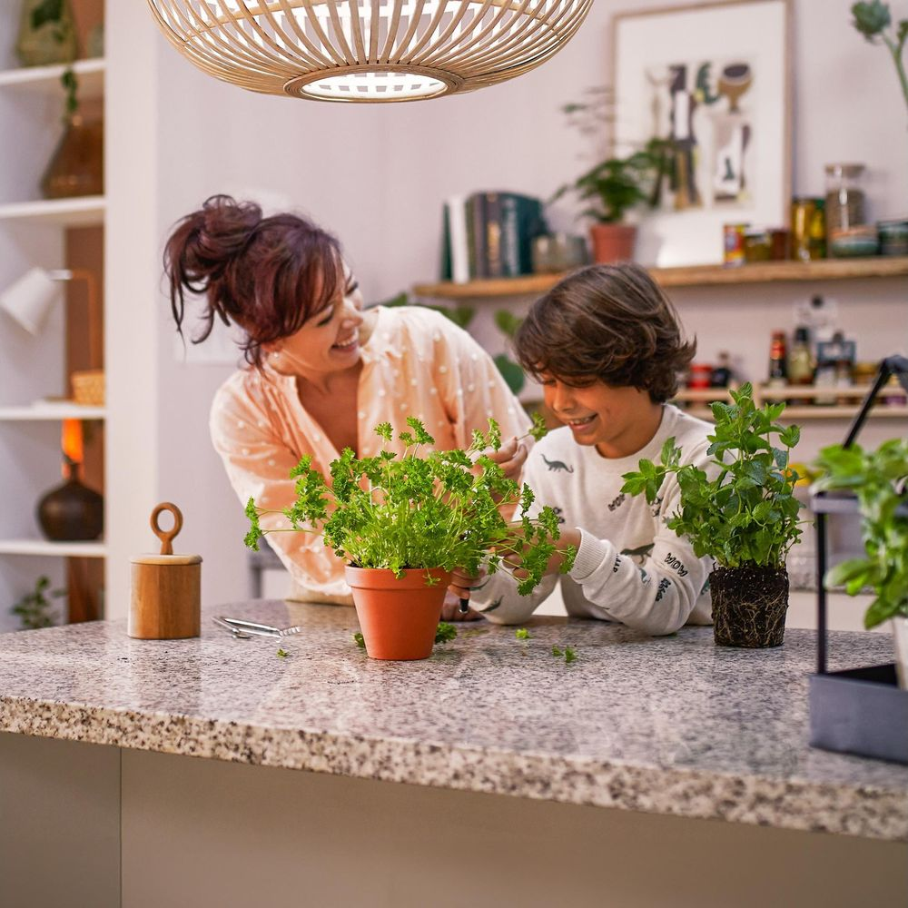 Madre e figlio curano erbe in vaso in cucina.