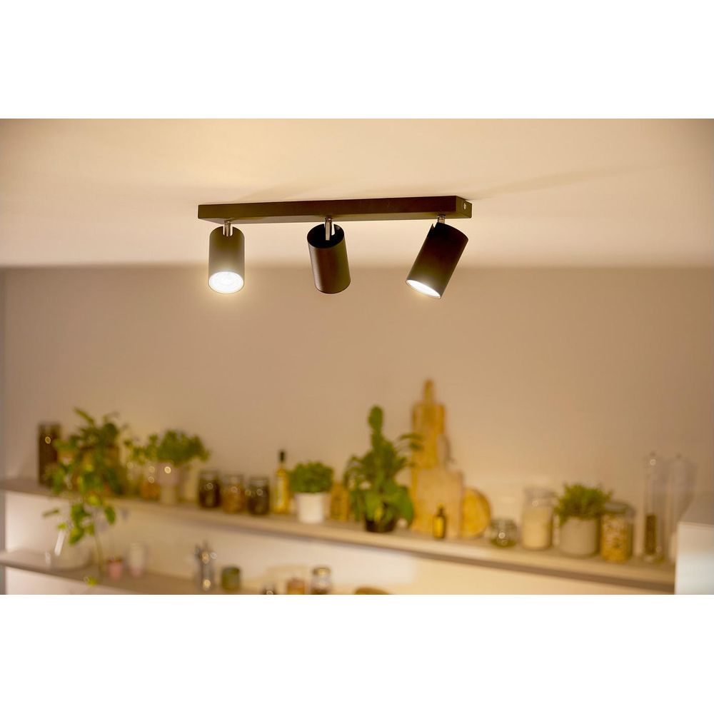 Trois spots noirs sur une barre de plafond, éclairant des étagères avec plantes et bocaux.