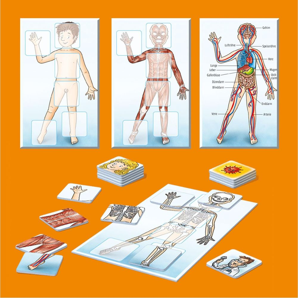 Anatomie-Puzzle mit Körperteilen, Skelett und Organen für Kinder.