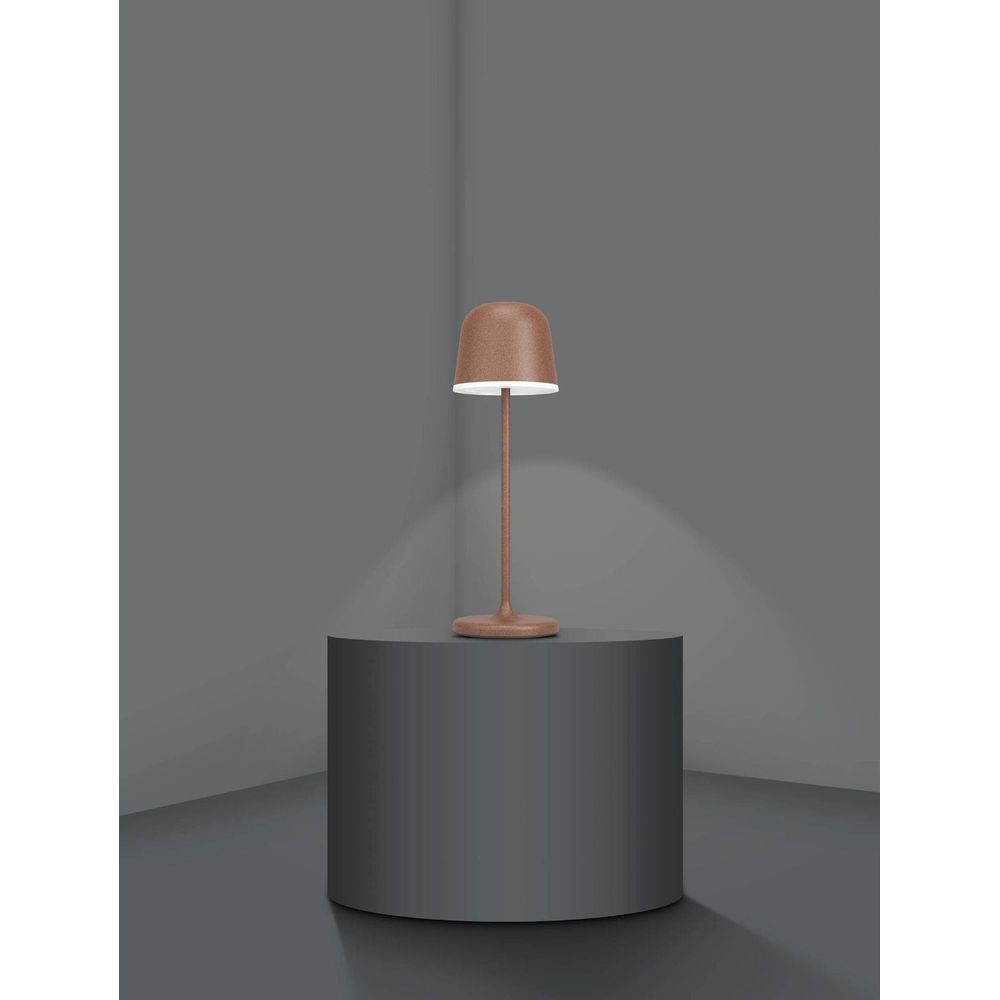 Eine braune Lampe steht auf einem grauen Podest vor einem grauen Hintergrund.