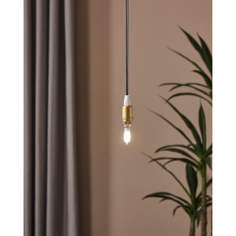 Une ampoule suspendue avec douille dorée au premier plan, à côté d'une plante et d'un rideau.