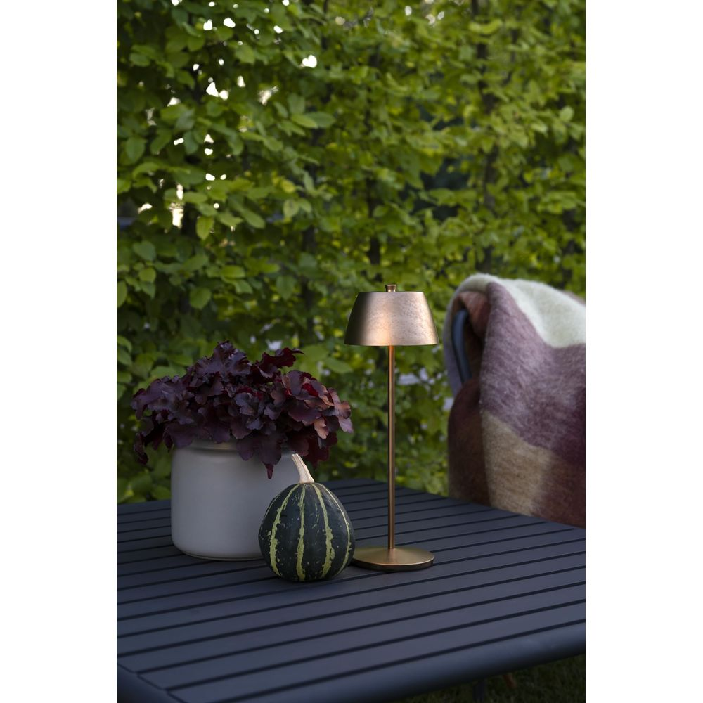 Goldene Lampe neben Kürbis und Pflanze auf Tisch vor Blätterwand.