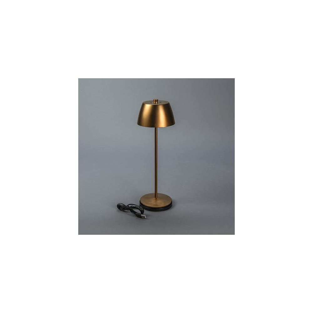 Una lampada da scrivania in bronzo con base rotonda e cavo davanti.