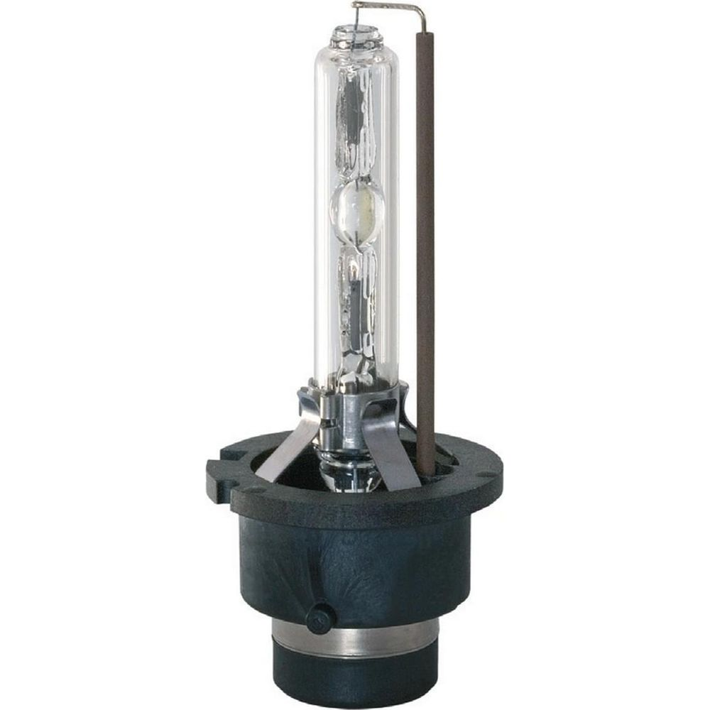 Una lampadina trasparente con base argentata e un'asta.