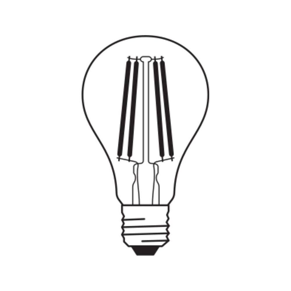 Une ampoule avec des filaments visibles et un culot à vis.