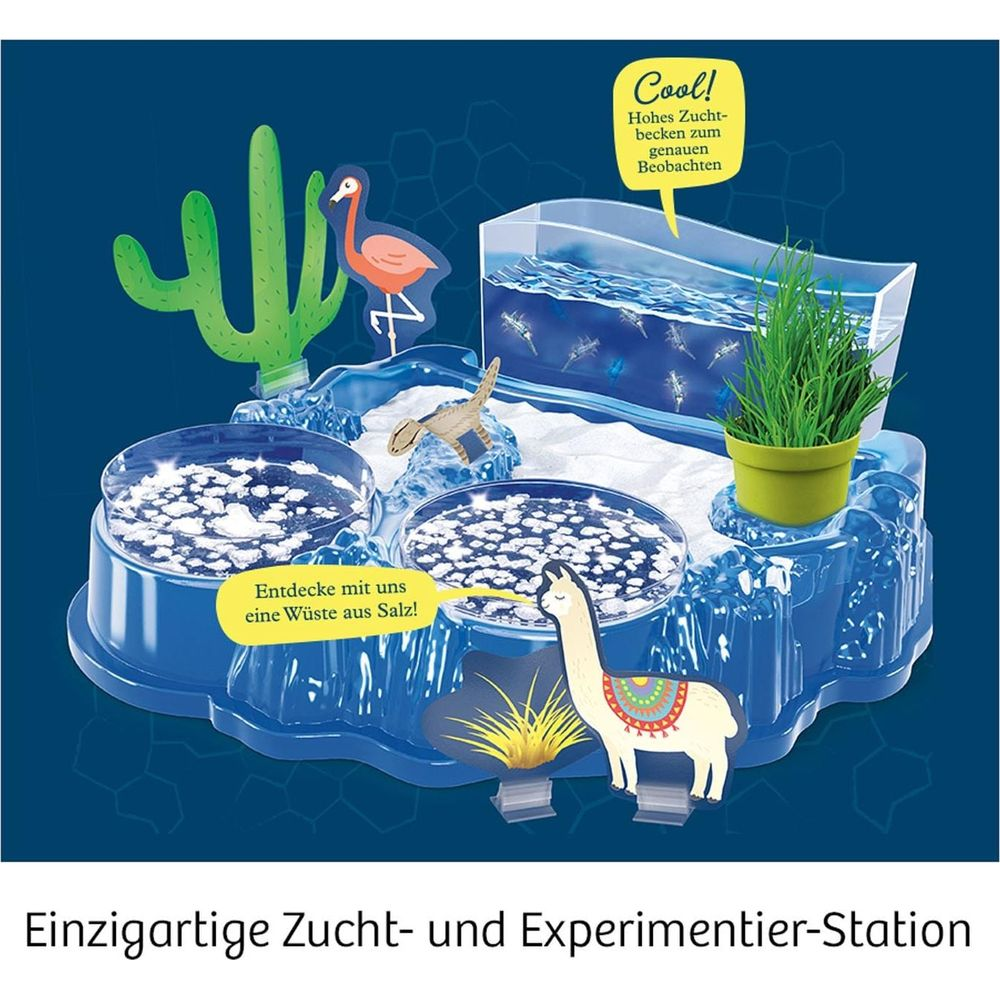 Ein Zucht- und Experimentierset mit Wüstentieren, Kaktus und Gras.