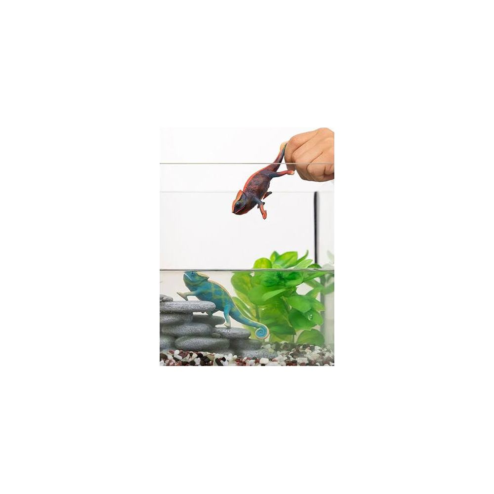 Zwei Chamäleons in einem Terrarium, eins auf Steinen, eins wird gehalten.