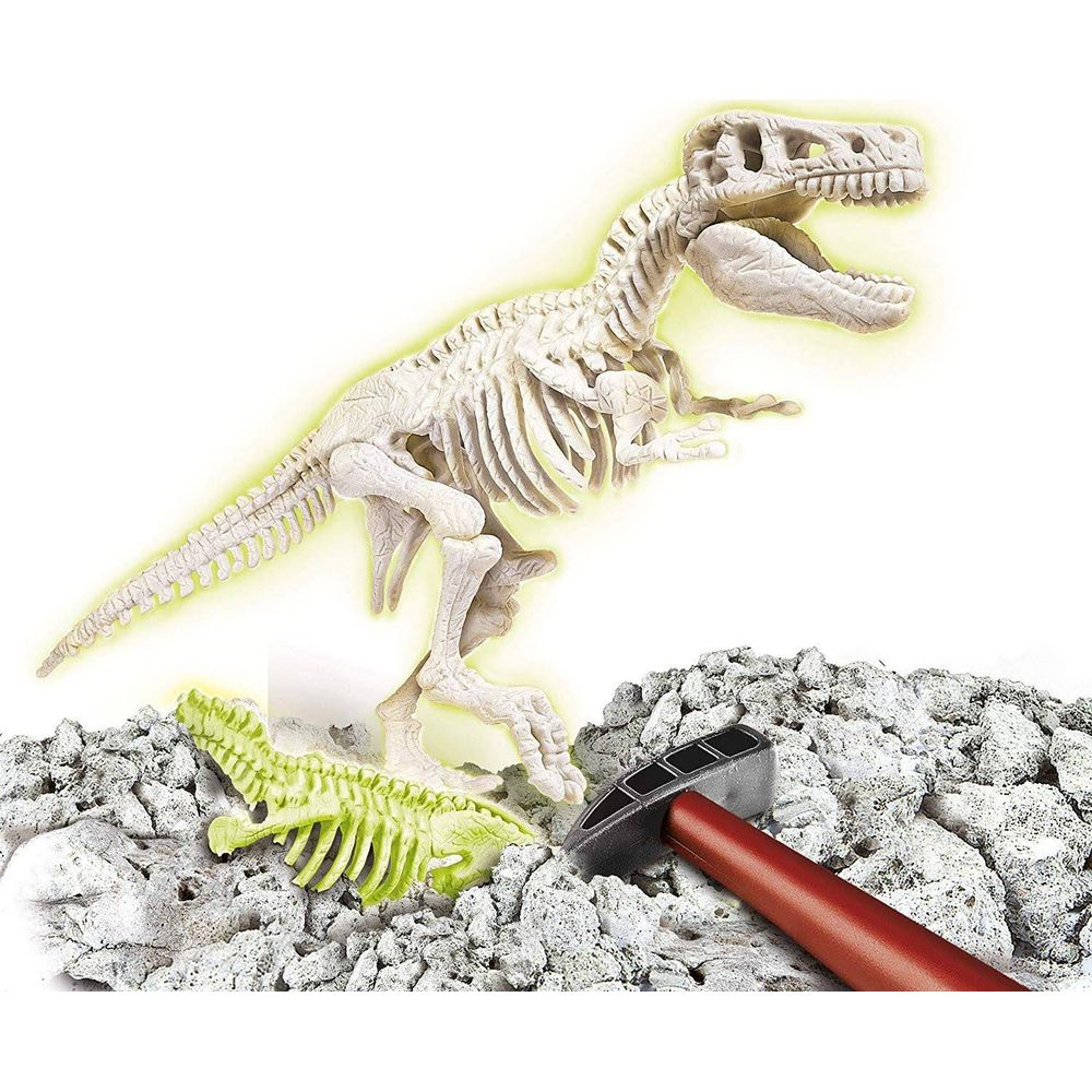 Ein Skelett eines Dinosauriers, das aus Gestein ausgegraben wird, mit einem grünen Skelett und Hammer daneben.