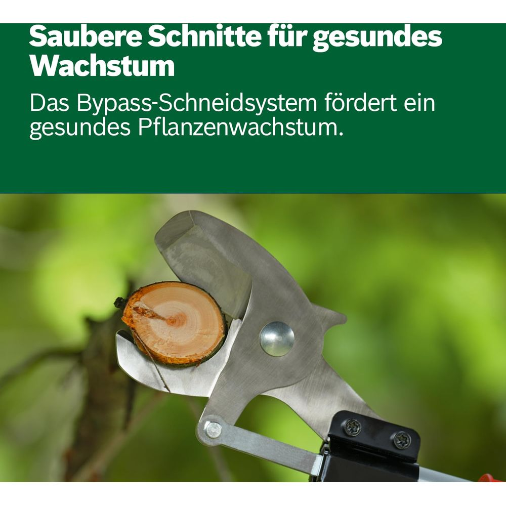 Gartenschere schneidet einen Ast mit sauberem Schnitt.