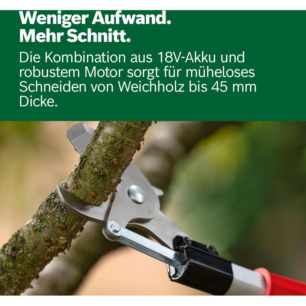 Astschere schneidet Ast. Text auf Deutsch über Aufwand und Schnitt.