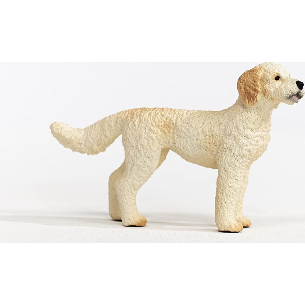 Un cane meticcio barboncino beige si erge su una superficie bianca.
