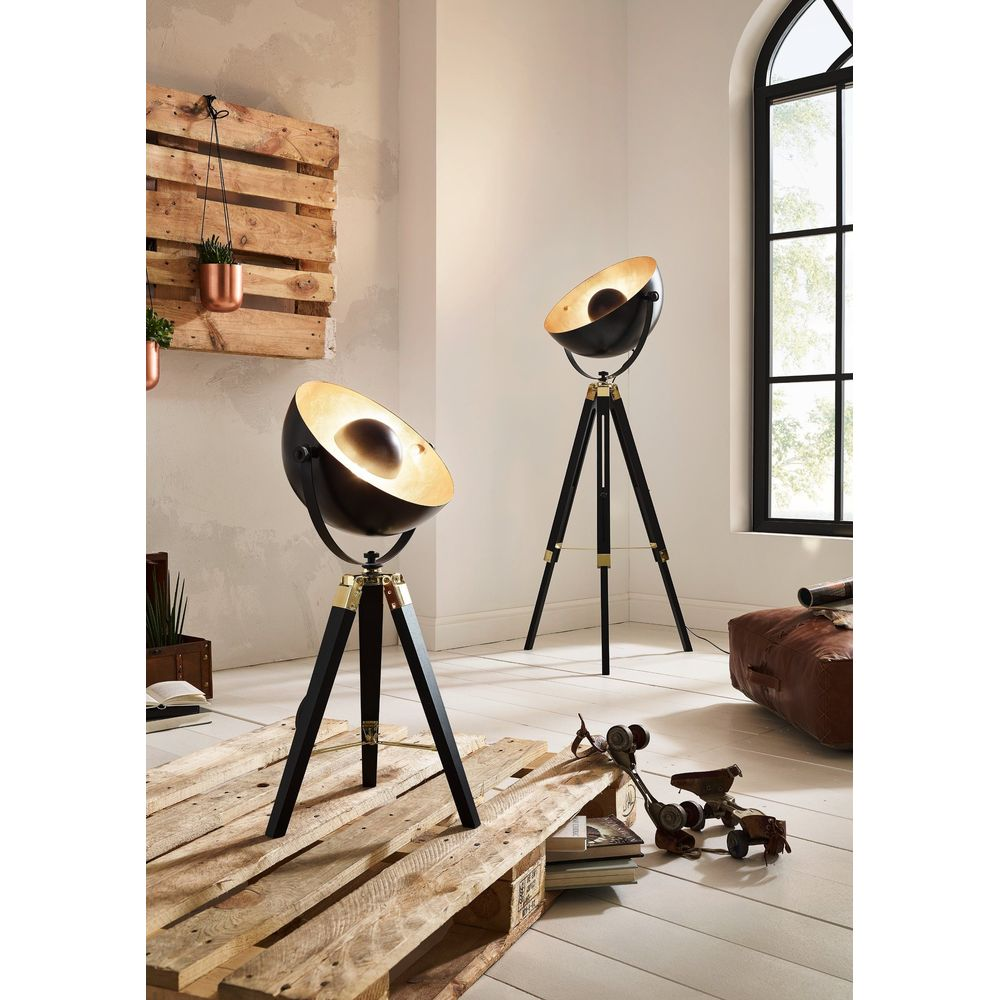 Zwei schwarze Stativlampen mit goldenen Akzenten stehen in einem Raum.