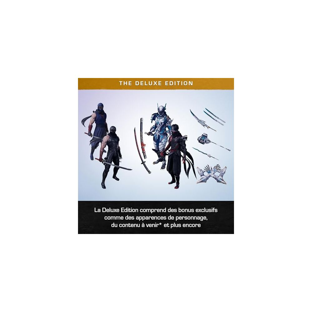 La Deluxe Edition mostra personaggi con armi e armature.
