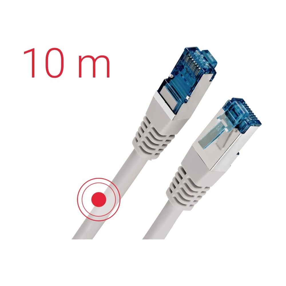 Ein graues Netzwerkkabel mit zwei blauen RJ45-Steckern, 10 m.