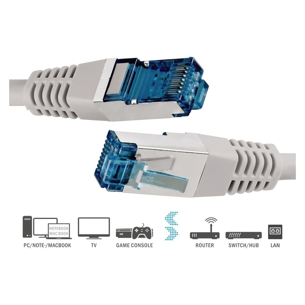 Zwei Ethernet-Steckverbinder mit blauen Einsätzen und silbernen Gehäusen.