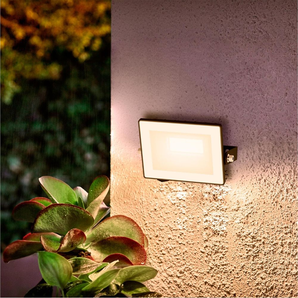 Ein beleuchteter Fluter beleuchtet eine Wand, daneben eine Pflanze im Regen.