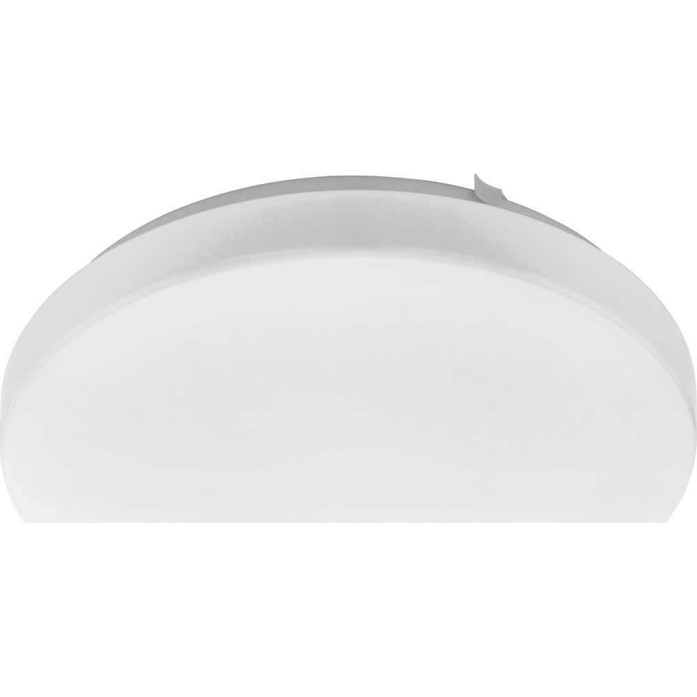 Un plafonnier blanc avec diffuseur blanc opale rond et bordure grise.