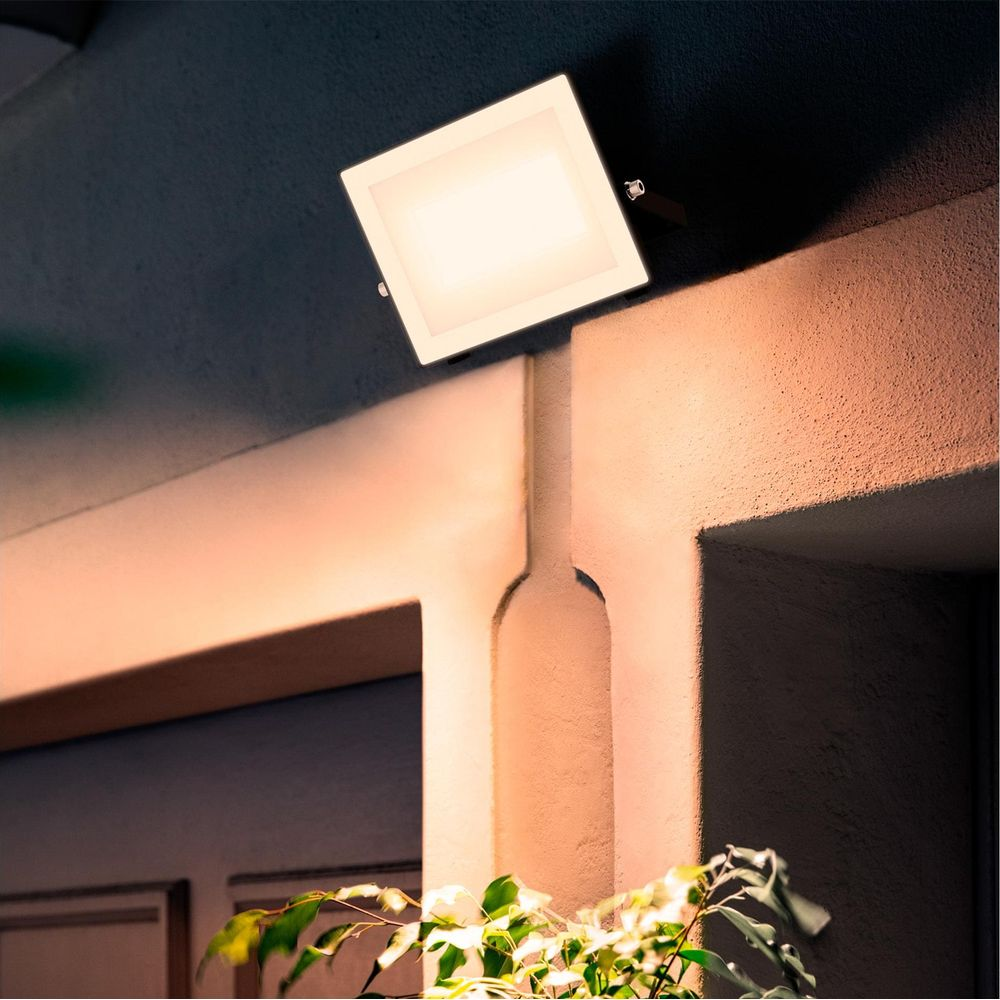 Ein rechteckiger LED-Strahler beleuchtet eine Wand mit Pflanzen im Vordergrund.