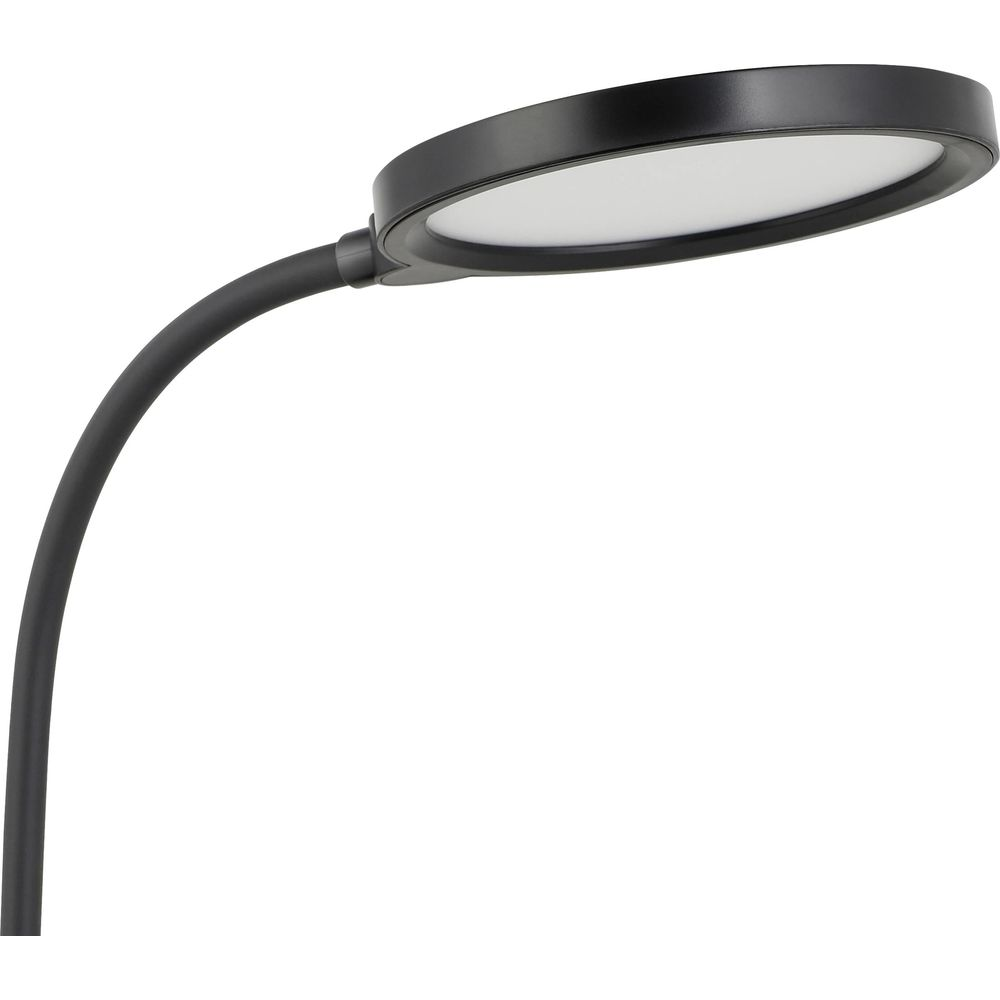 Eine schwarze, verstellbare Schreibtischlampe mit ovalem Leuchtkopf und flexiblem Schwanenhals.