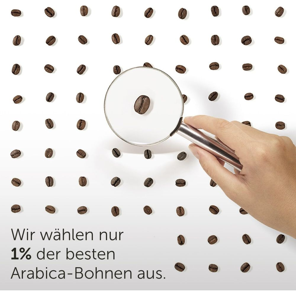 Eine Hand hält eine Lupe über einer Kaffeebohne, umgeben von vielen weiteren.