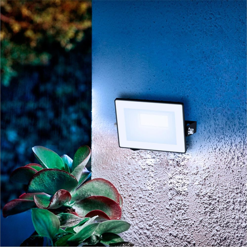 Ein heller Scheinwerfer leuchtet auf einer blauen Wand, daneben eine Pflanze.