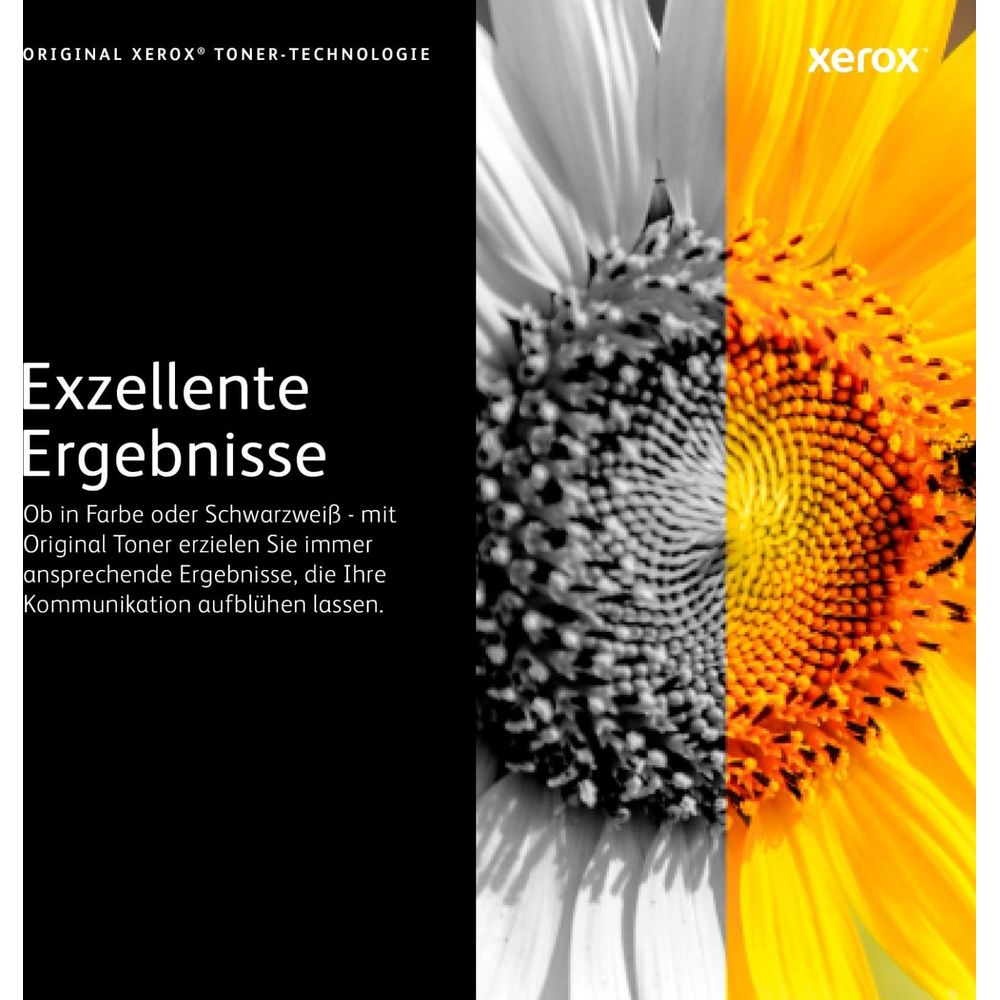 Reklama Xerox: Słonecznik podzielony, lewa strona czarno-biała, prawa kolorowa.