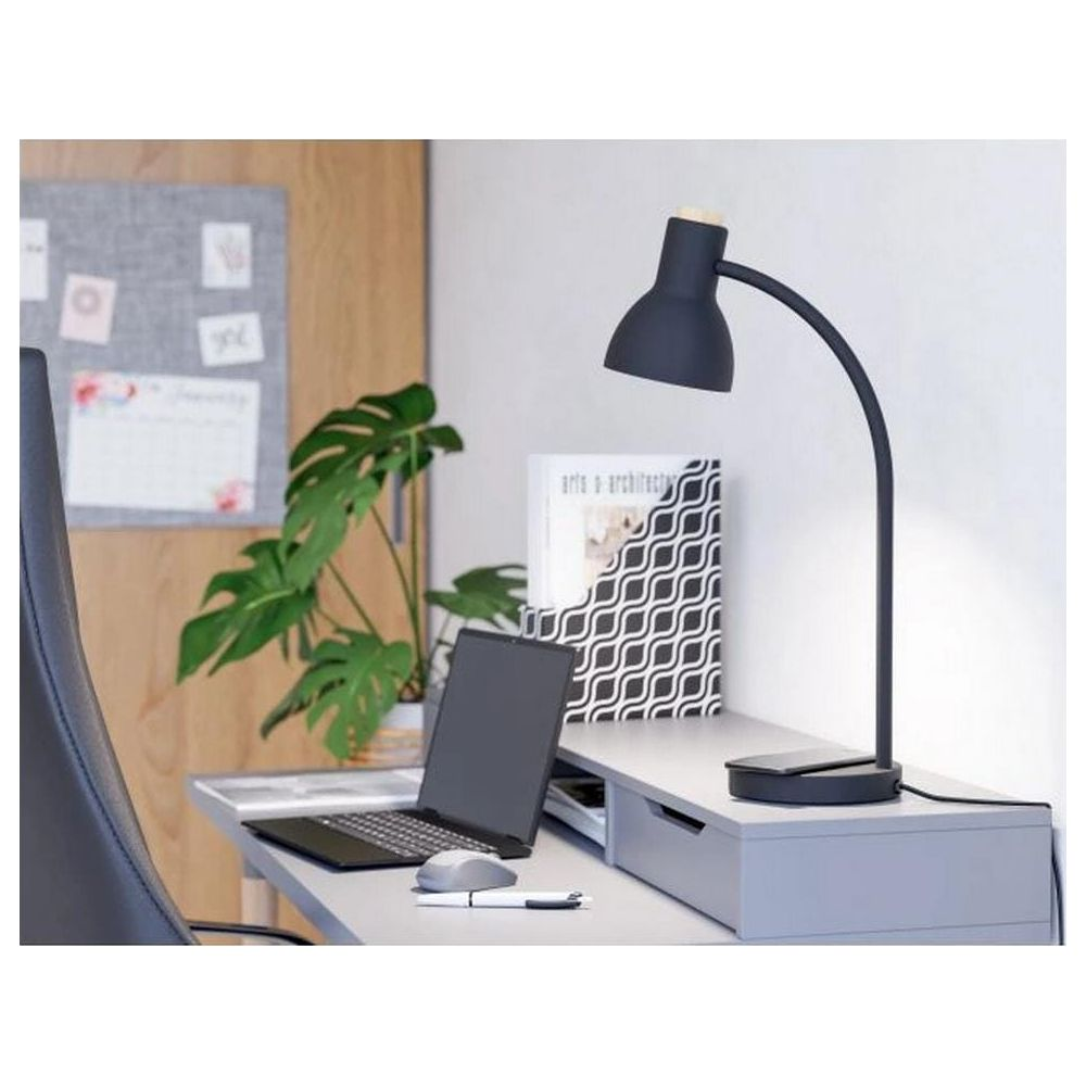 Ein moderner Schreibtisch mit Laptop, Maus, Lampe und Pflanze.