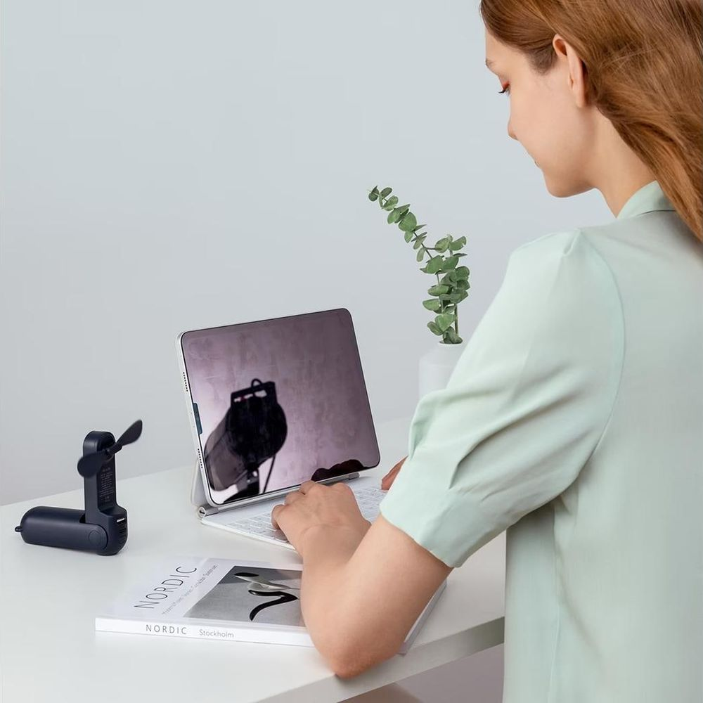Eine Frau arbeitet an einem Laptop mit kleinem Ventilator und Pflanze auf einem Schreibtisch.