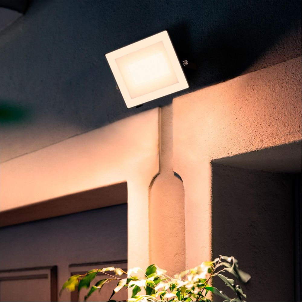 Ein quadratischer, heller LED-Strahler beleuchtet eine Wand und Pflanzen.