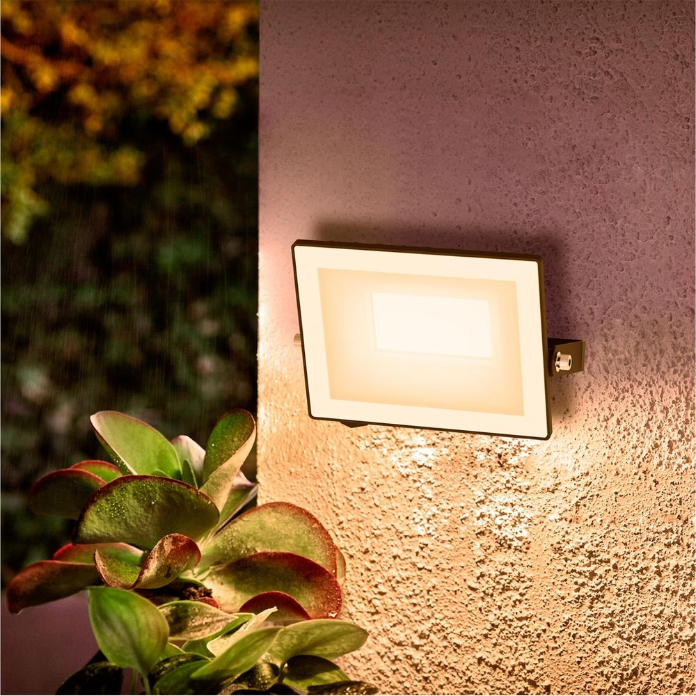 Un moderno faretto LED illumina un muro ruvido. In primo piano piante verdi.