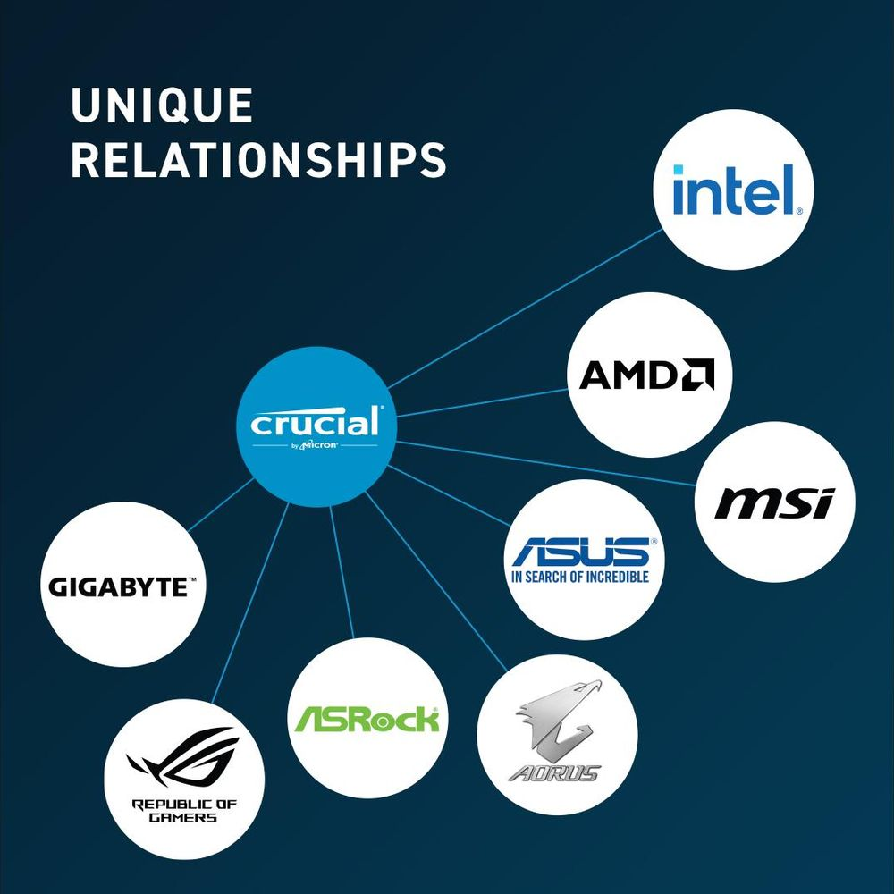 Diagrama muestra Crucial en el centro, conectado a Intel, AMD, MSI, ASUS, AORUS, ASRock, Gigabyte y Republic of Gamers.