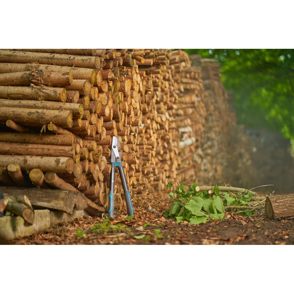 Sekator oparty o stos drewna. Odcięte gałęzie leżą obok.