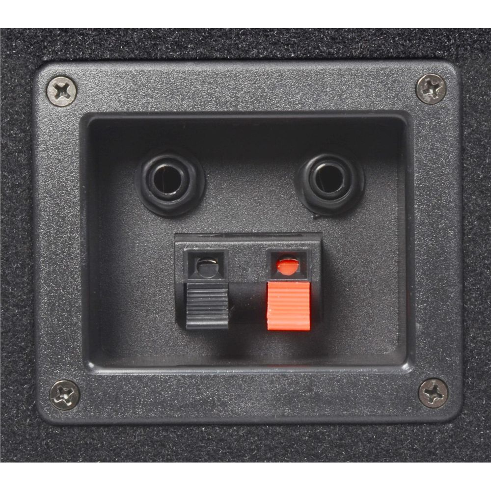 Panel de conexión de altavoz con dos tomas jack y un terminal rojo/negro.