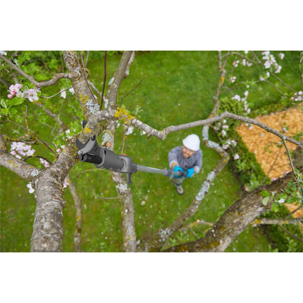 Mann mit Astschere auf einem Baum, Garten darunter.