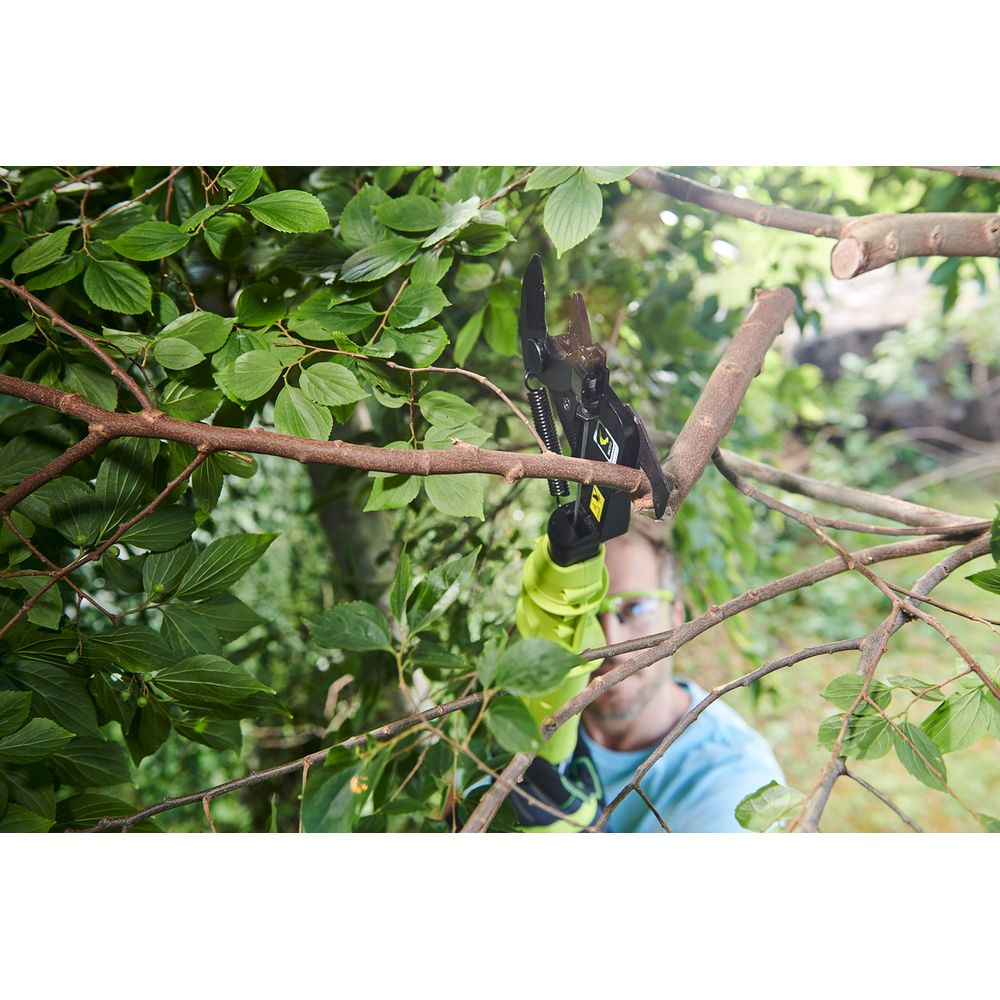 Ein Mann mit Brille trimmt mit einer grünen Astschere einen Ast im Garten.