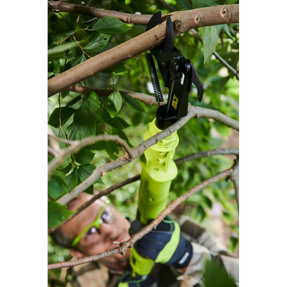 Ein Mann mit Schutzbrille benutzt eine grüne Astschere an einem Baum.