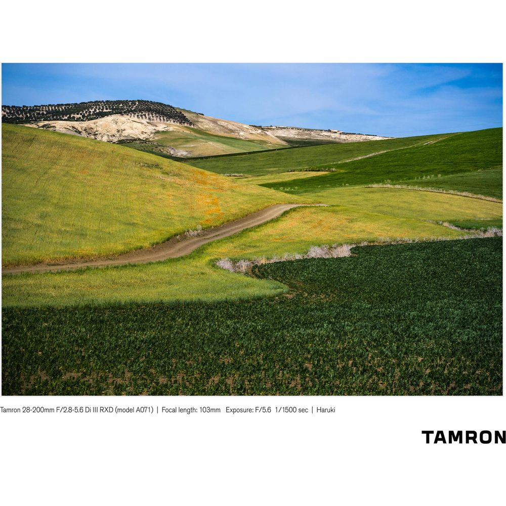 Zielone pagórki z polną drogą pod błękitnym niebem.