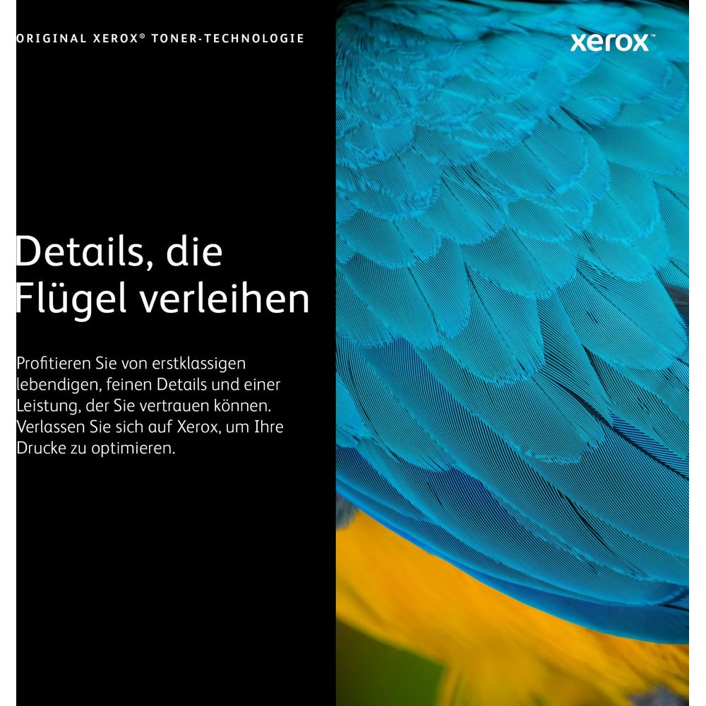 Niebiesko-żółte tło ptaka z logo i tekstem Xerox.