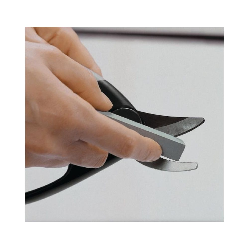 Eine Hand hält eine schwarze Astschere mit einem silbernen Schärfwerkzeug.