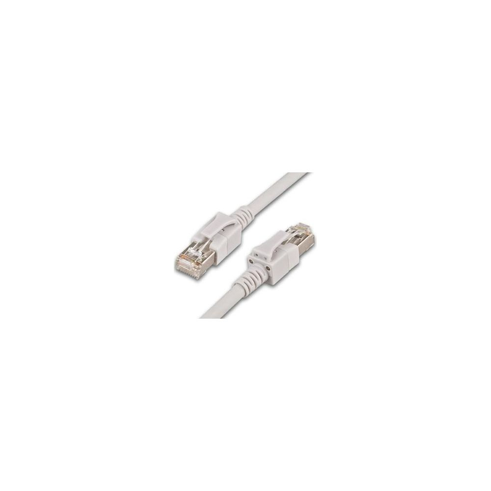 Deux connecteurs de câble Ethernet blancs avec broches transparentes sur câble gris.