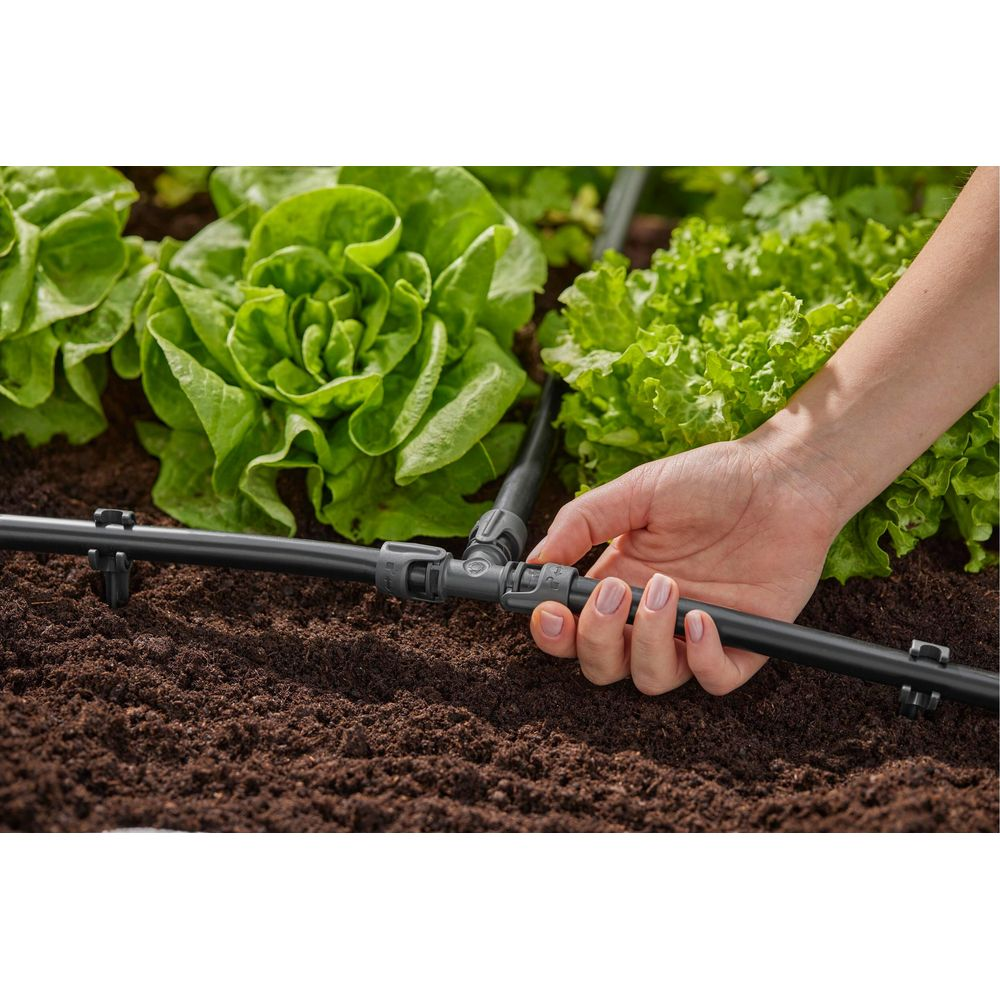 Una mano conecta un sistema de riego por goteo junto a plantas de lechuga.